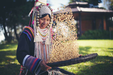 Akha using a winnowing basket separating arabica coffee from shell, Akha in the north of Thailand enjoying with job, Akha was separating coffee from shell by bamboo basket with traditional cloth.の写真素材