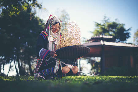 Akha using a winnowing basket separating arabica coffee from shell, Akha in the north of Thailand enjoying with job, Akha was separating coffee from shell by bamboo basket with traditional cloth.の写真素材