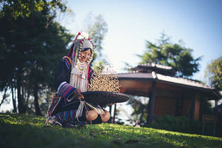 Akha using a winnowing basket separating arabica coffee from shell, Akha in the north of Thailand enjoying with job, Akha was separating coffee from shell by bamboo basket with traditional cloth.の写真素材