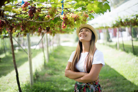 Young woman in enjoying beautiful sunset view on the vineyardの写真素材
