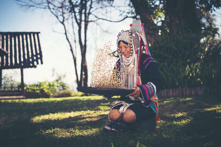 Akha using a winnowing basket separating arabica coffee from shell, Akha in the north of Thailand enjoying with job, Akha was separating coffee from shell by bamboo basket with traditional cloth.の写真素材