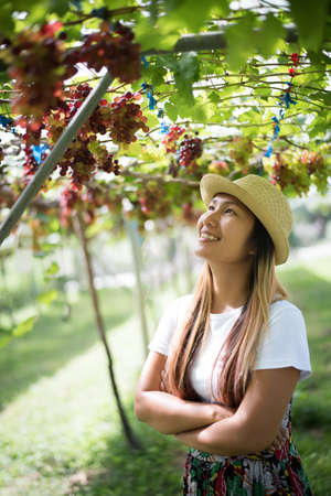 Young woman in enjoying beautiful sunset view on the vineyardの写真素材