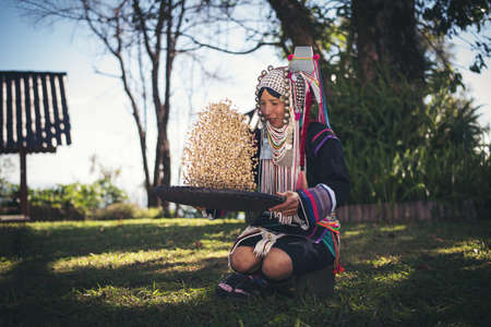 Akha using a winnowing basket separating arabica coffee from shell, Akha in the north of Thailand enjoying with job, Akha was separating coffee from shell by bamboo basket with traditional cloth.の写真素材