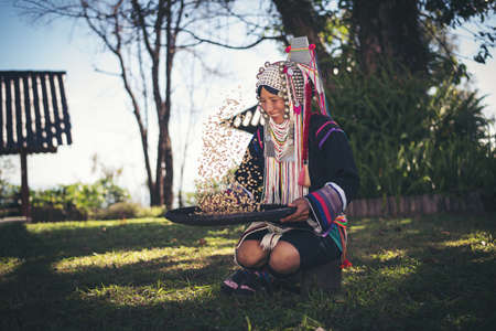 Akha using a winnowing basket separating arabica coffee from shell, Akha in the north of Thailand enjoying with job, Akha was separating coffee from shell by bamboo basket with traditional cloth.の写真素材