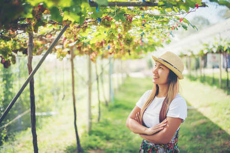 Young woman in enjoying beautiful sunset view on the vineyardの写真素材