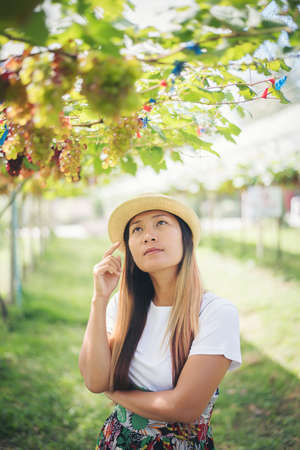 Young woman in enjoying beautiful sunset view on the vineyardの写真素材