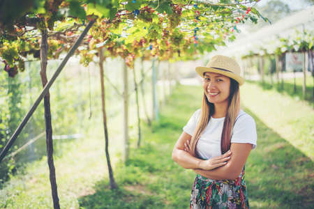 Young woman in enjoying beautiful sunset view on the vineyardの写真素材