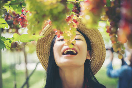 Young woman in enjoying beautiful sunset view on the vineyardの写真素材