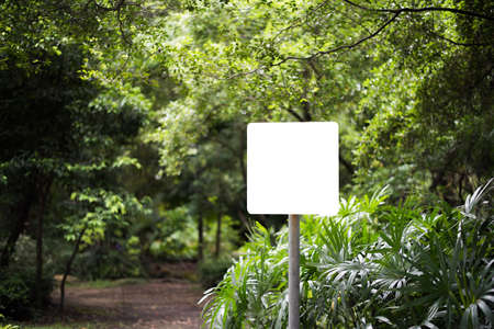 White blank billboard in the park with nature background.の写真素材