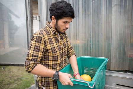 Portrait of a hipster farmer holding box of fruit lift up to the car to go market for sell.の写真素材
