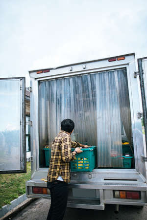 Portrait of a hipster farmer holding box of fruit lift up to the car to go market for sell.の写真素材
