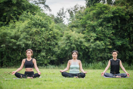 Yoga action exercise healthy in the parkの写真素材