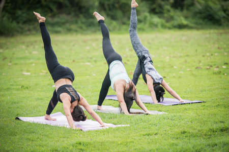Yoga action exercise healthy in the parkの写真素材
