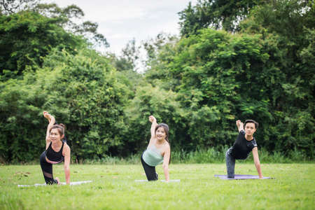 Yoga action exercise healthy in the parkの写真素材