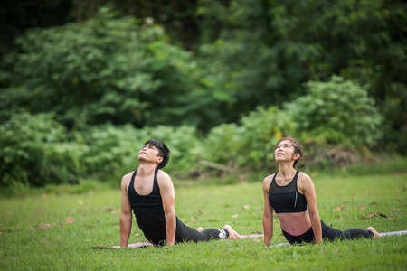 Yoga action exercise healthy in the parkの写真素材
