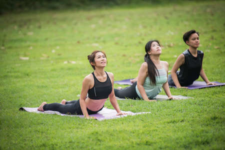 Yoga action exercise healthy in the parkの写真素材