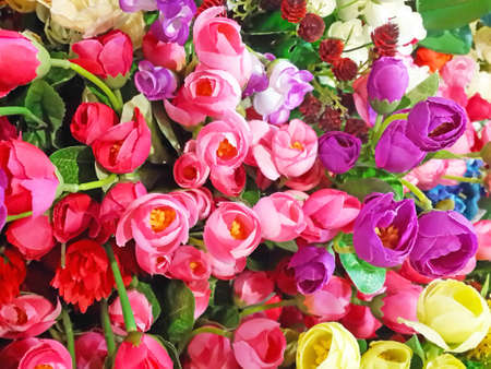 flower backgroundの写真素材