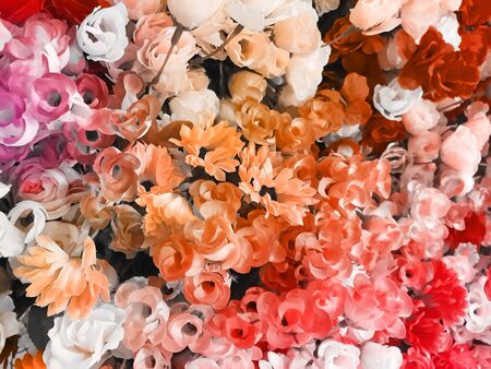 flower backgroundの写真素材