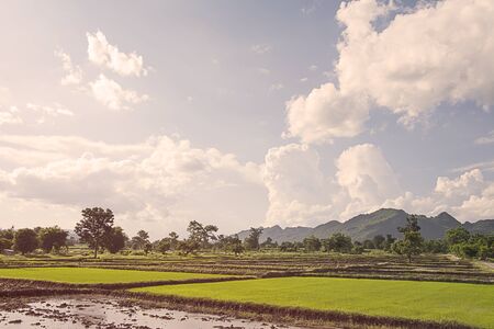 Mountain landscape view with the forest backgroundの写真素材