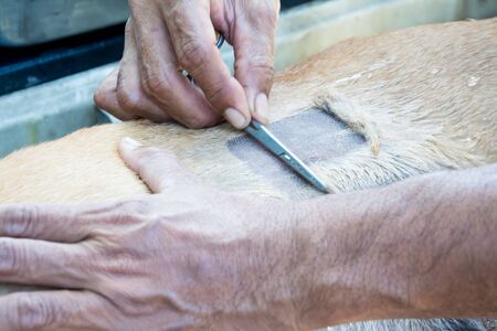 medical equipment operate backgroundの写真素材