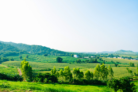 Phu Tubberk mountain landscape view with the forest backgroundの写真素材