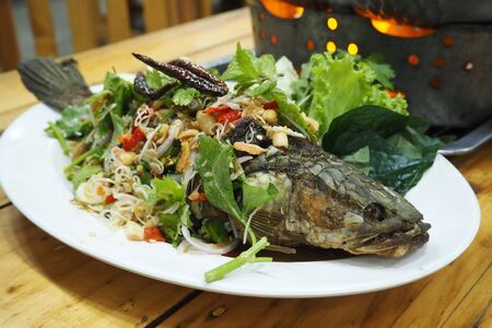 fish herb for healthの写真素材