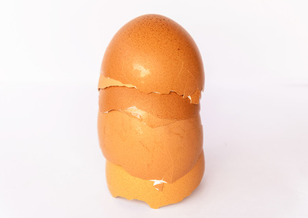 Egg Shells on White 