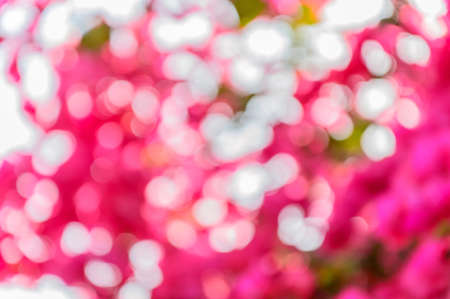 Natural Bokehの写真素材