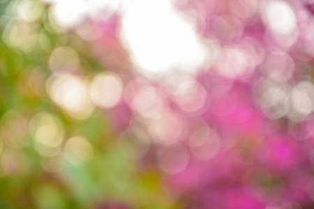 Natural Bokehの写真素材