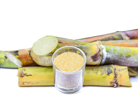 sugar cane on a white background.の写真素材