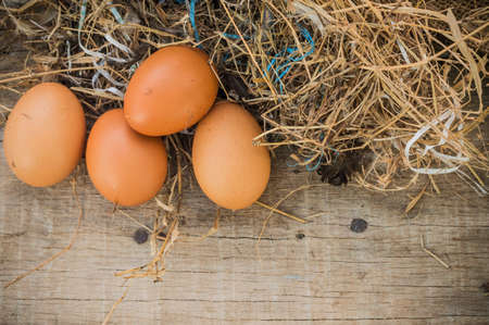 Fresh eggs from the farm.の写真素材