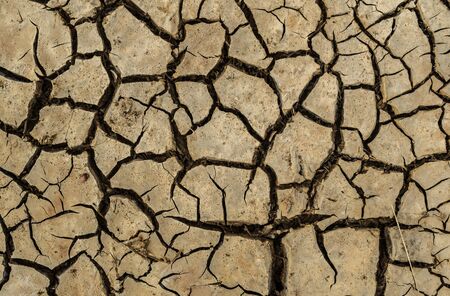 Dry cracks in dried out soilの写真素材