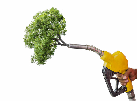 Green energy concept,Holding a fuel nozzle against tree white background.の写真素材