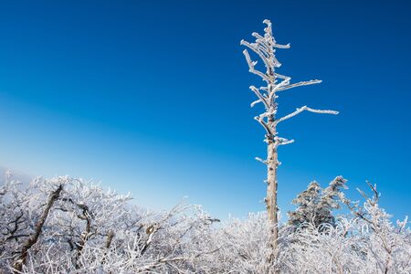 Deogyusan in winter,koreaの写真素材