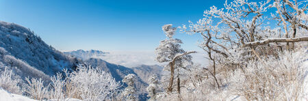 Panorama of winter,Deogyusan in koreaの写真素材