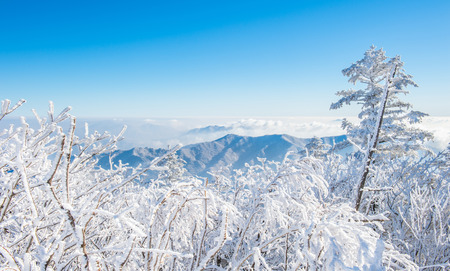 Deogyusan in winter,koreaの写真素材