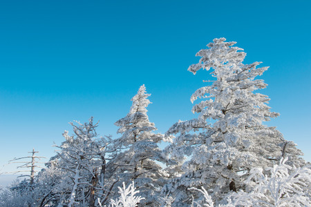Deogyusan in winter,koreaの写真素材