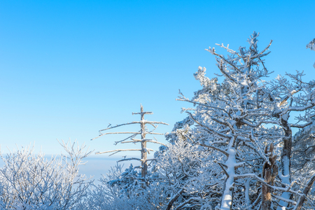 Deogyusan in winter,koreaの写真素材