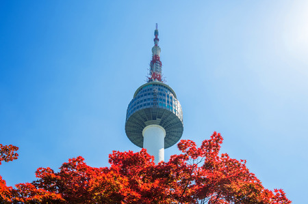 Seoul Tower and red autumn maple leaves at Namsan mountain in South Korea.のeditorial素材