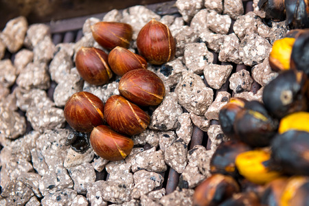 Chestnut (Castanea fruits)の写真素材