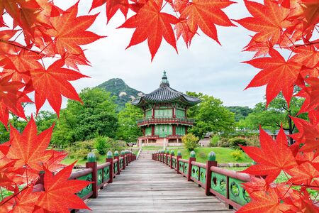 Gyeongbokgung Palace with Colorful autumn leaves in Seoul, South Korea.のeditorial素材