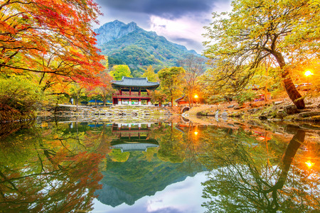 Autumn in Naejangsan Park,korea.のeditorial素材