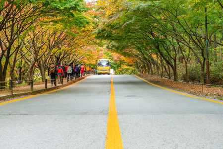 NAEJANGSAN,KOREA - NOVEMBER 1: Tourists taking photos of the beautiful scenery around Naejangsan park,South Korea during autumn season on November 1, 2015.のeditorial素材