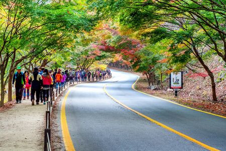 NAEJANGSAN,KOREA - NOVEMBER 1: Tourists taking photos of the beautiful scenery around Naejangsan park,South Korea during autumn season on November 1, 2015.のeditorial素材