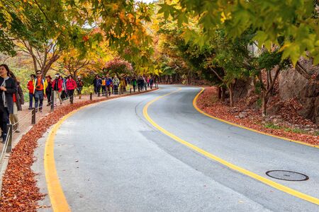 NAEJANGSAN,KOREA - NOVEMBER 1: Tourists taking photos of the beautiful scenery around Naejangsan park,South Korea during autumn season on November 1, 2015.のeditorial素材