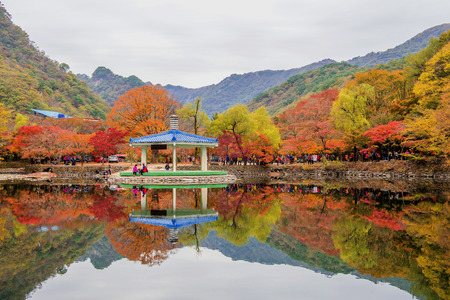 NAEJANGSAN,KOREA - NOVEMBER 1: Tourists taking photos of the beautiful scenery around Naejangsan park,South Korea during autumn season on November 1, 2015.のeditorial素材
