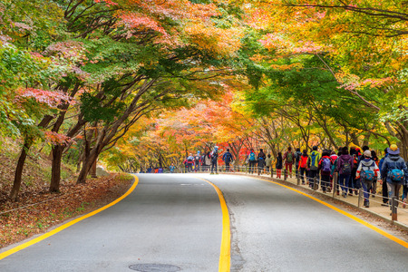 NAEJANGSAN,KOREA - NOVEMBER 1: Tourists taking photos of the beautiful scenery around Naejangsan park,South Korea during autumn season on November 1, 2015.のeditorial素材