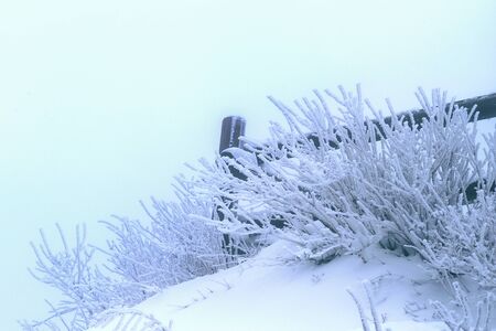 Winter landscape.の写真素材