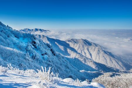 Seoraksan mountains is covered by morning fog in winter, Korea.の写真素材