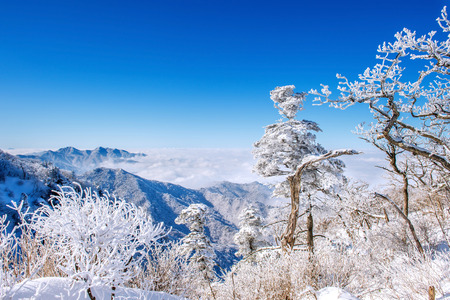 Seoraksan mountains is covered by morning fog in winter, Korea.の写真素材